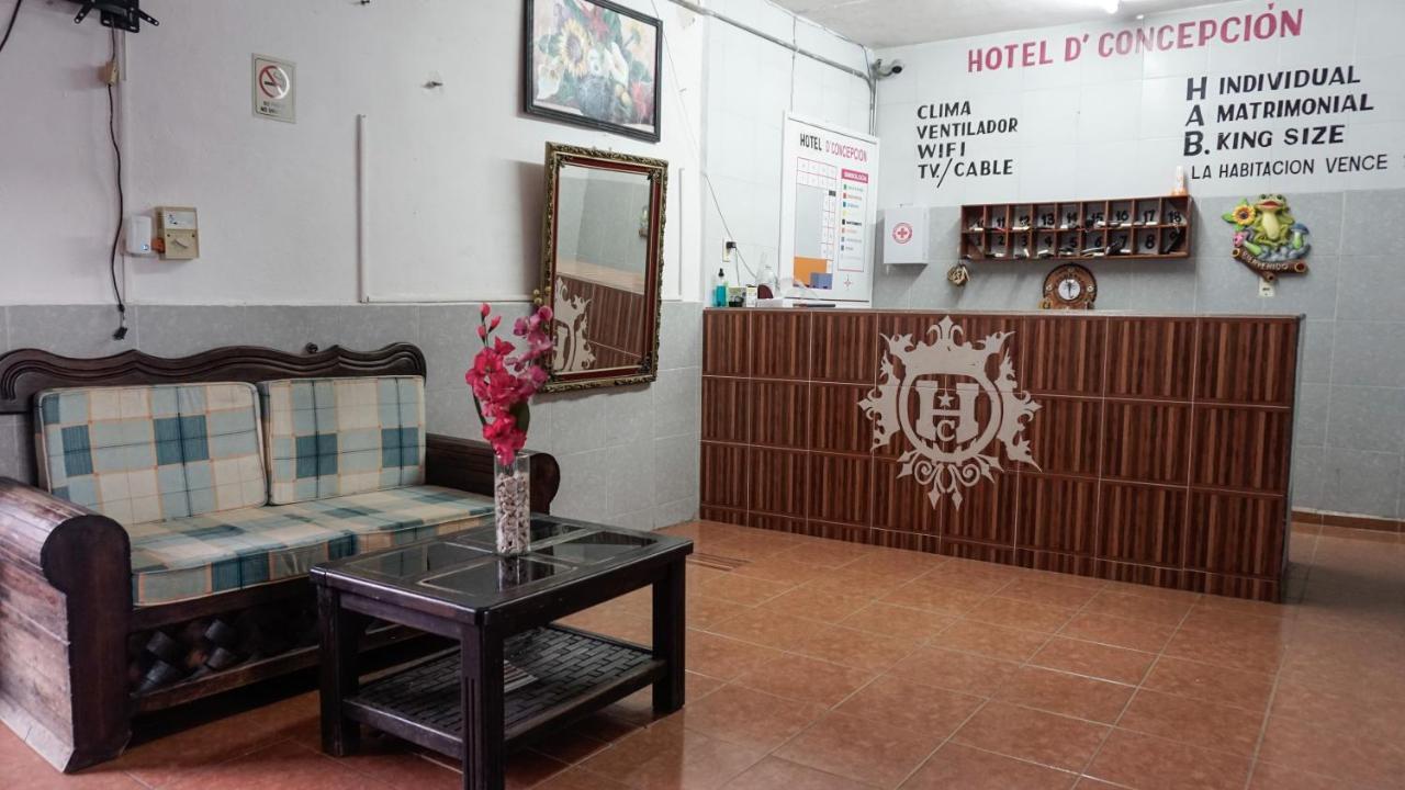 Hotel D'Concepcion 蒂西明 外观 照片